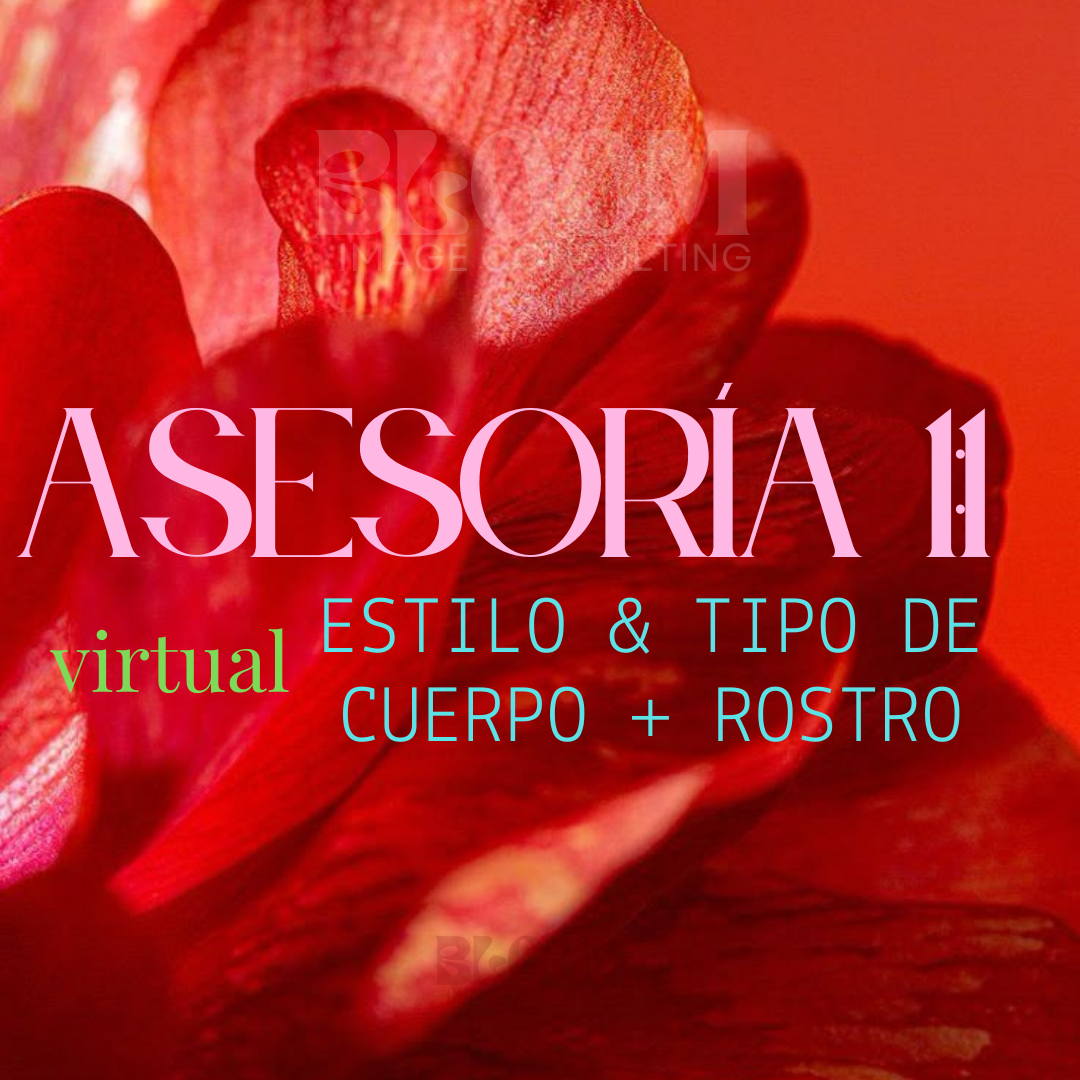 Asesoría 1: Estilo & Morfología
